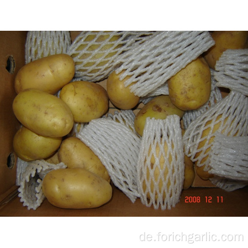Gute Qualität frische Kartoffel im konkurrenzfähigen Preis